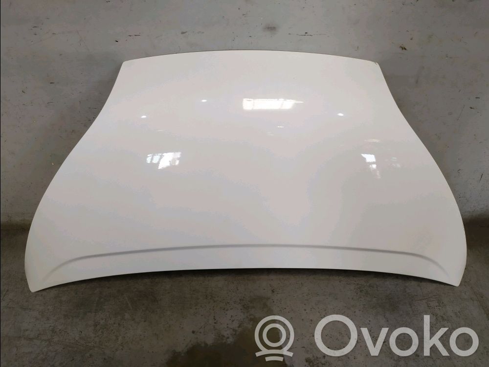 Engine bonnet/hood