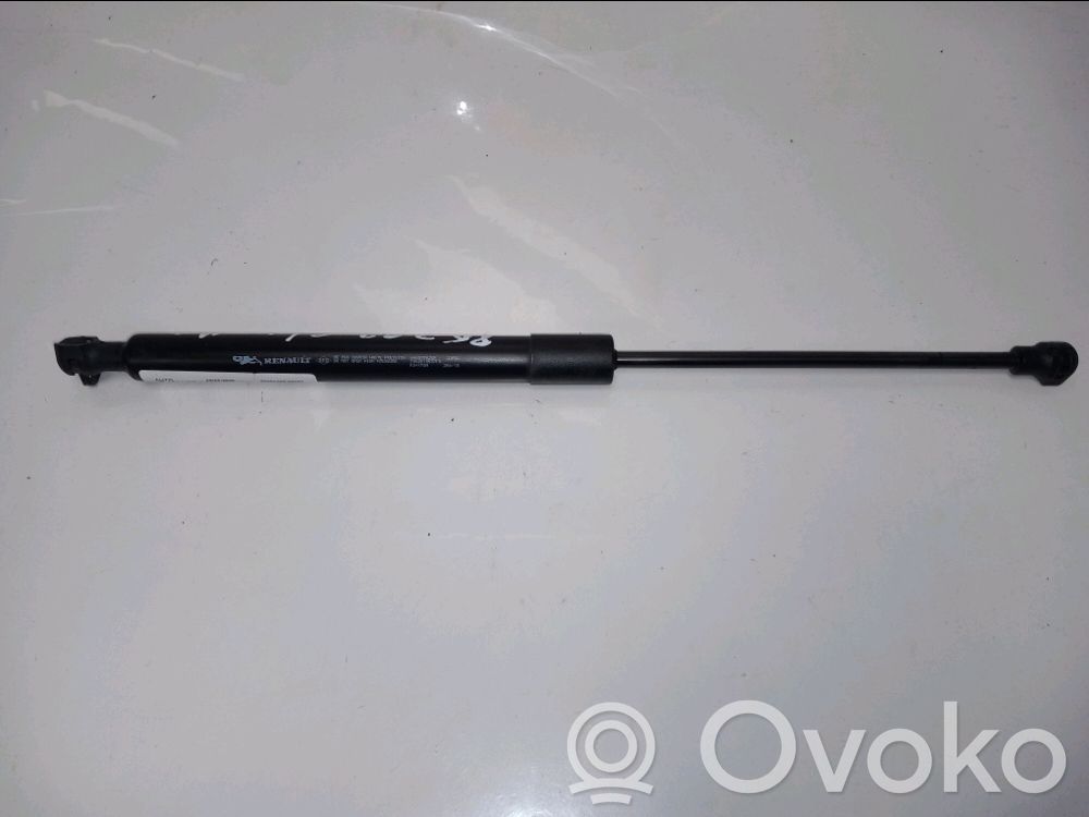 Tailgate/trunk strut/damper   844307620R,844307620R