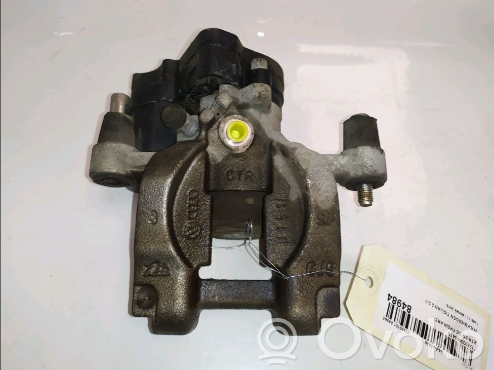 Takajarrusatula   3Q0615424,3Q0615424