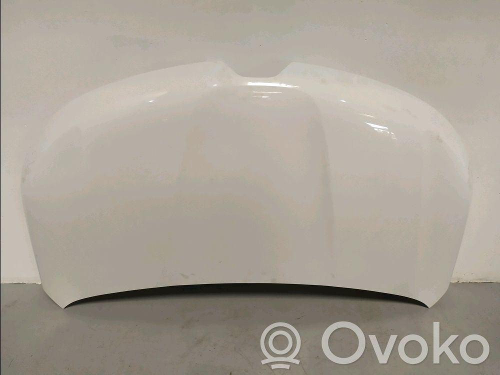 Capotă motor   651007840R,651007840R