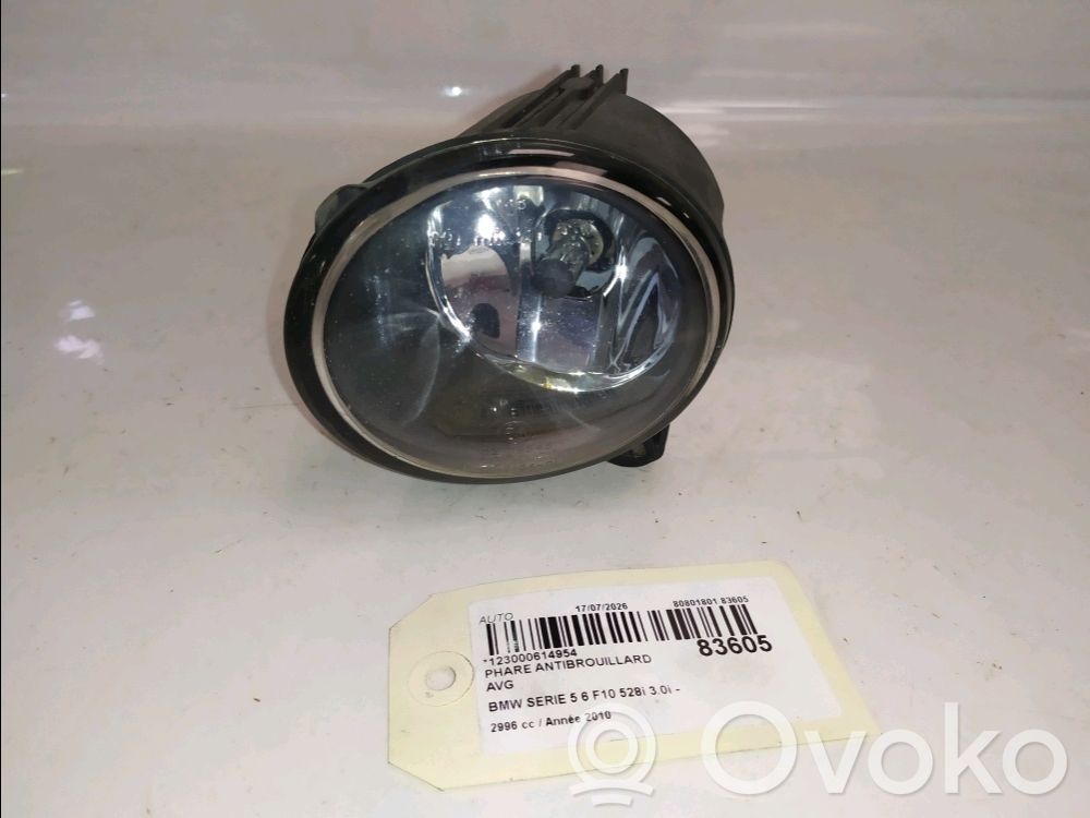 BMW 5 F10 F11 Fendinebbia anteriore 