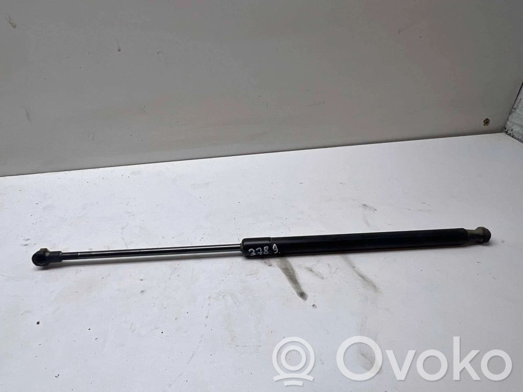 Audi A3 S3 8P Tailgate/trunk strut/damper 