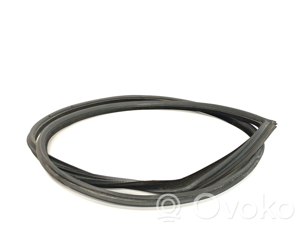 BMW 3 E92 E93 Front door rubber seal 