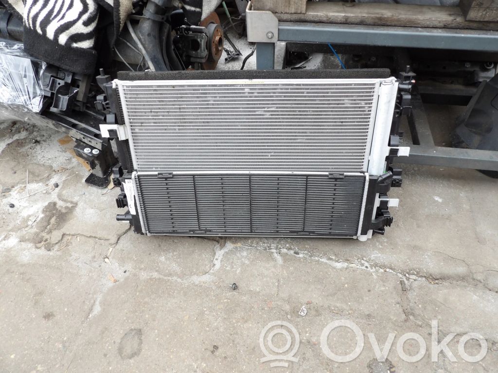 Radiator set   214572452R