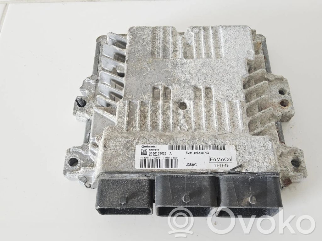 Ford Focus Engine control unit/module 