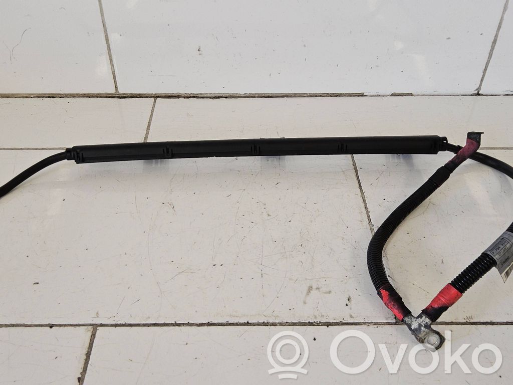 Positive cable (battery)   7794910,6163942,EMUD99S