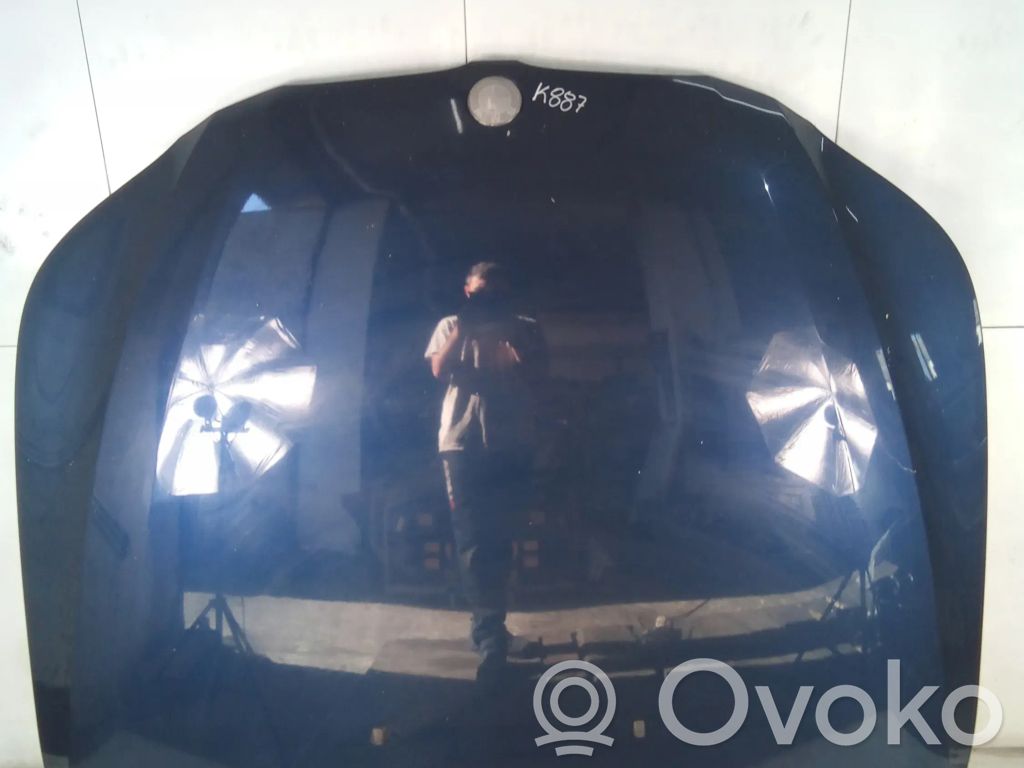 Engine bonnet/hood