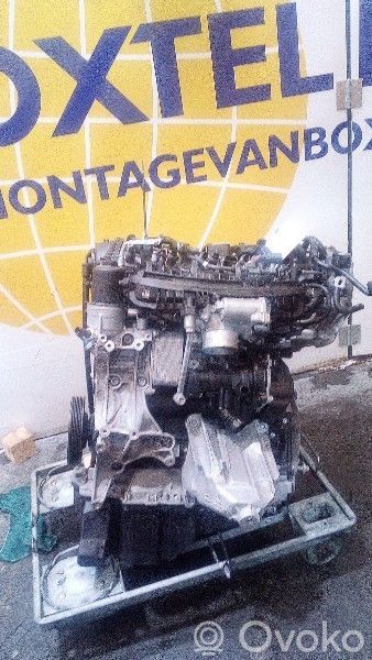 Motor