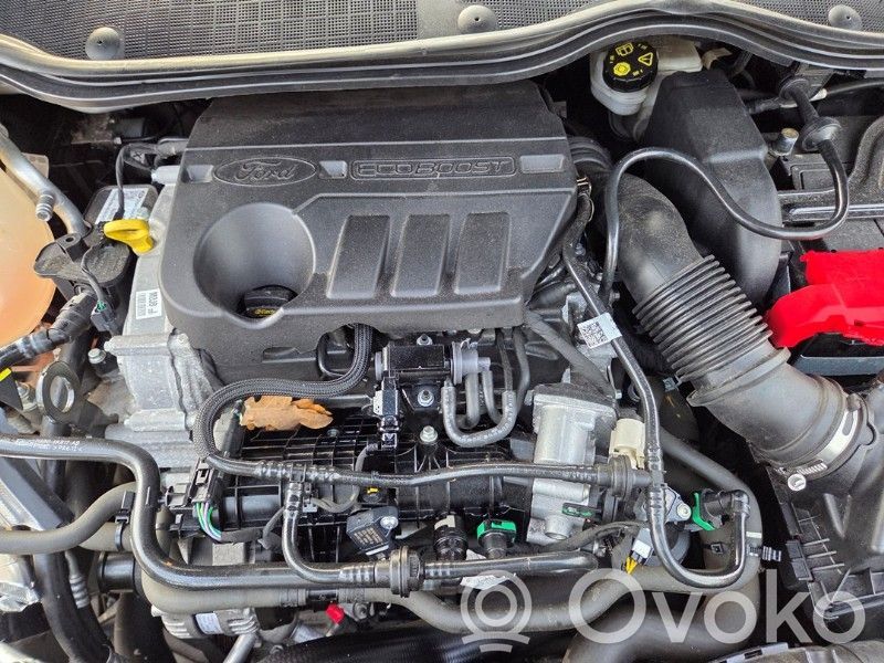 Ford Fiesta Variklis 