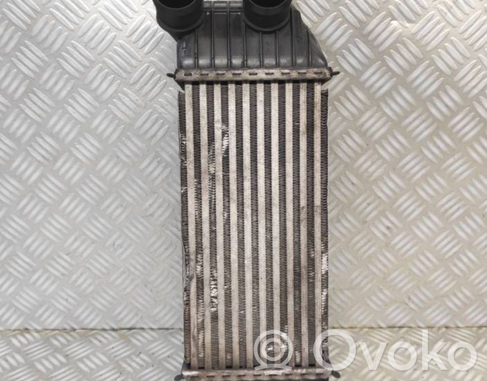 Citroen Jumpy Starpdzesētāja radiators 