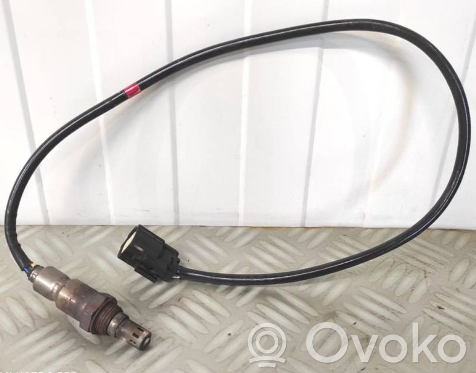 Lambda zondas   F1F19Y460DA,30070N1