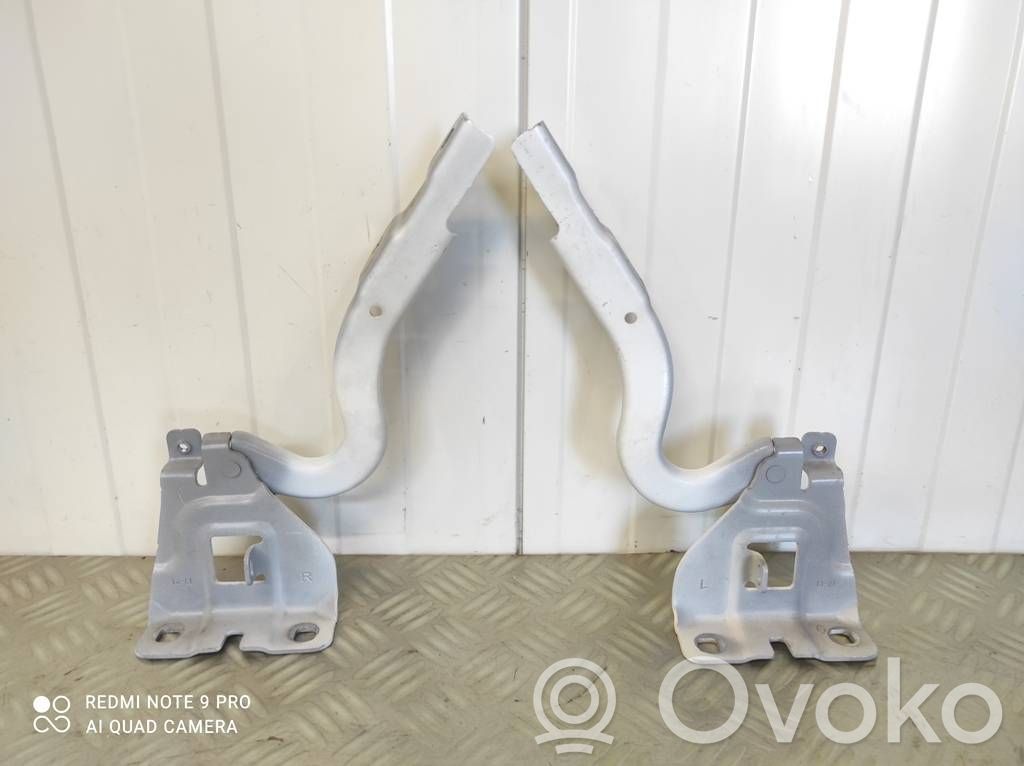 Renault Kangoo II Engine bonnet/hood hinges 