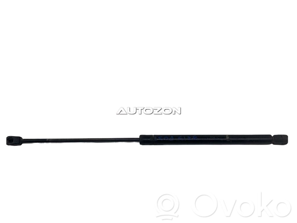 Amortizators ar atsperi   XS41N406A10AE