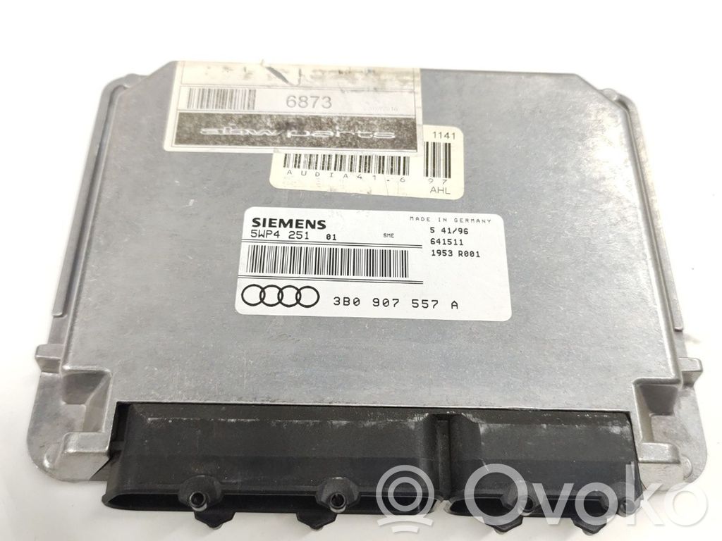 Engine control unit/module   5WP4251,3B0907557A