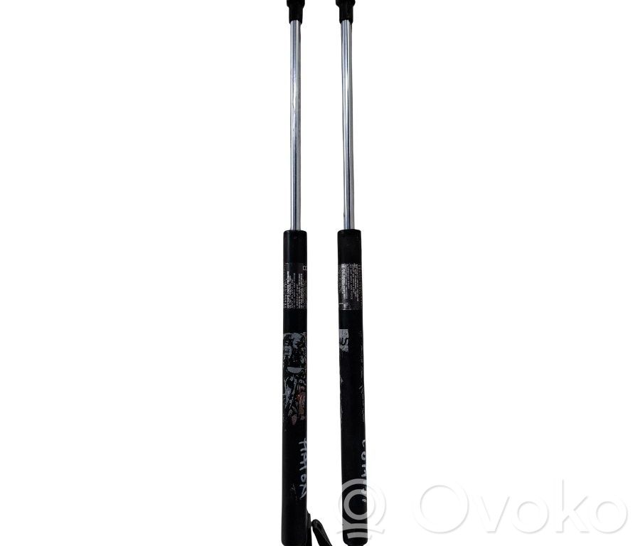 Tailgate strut