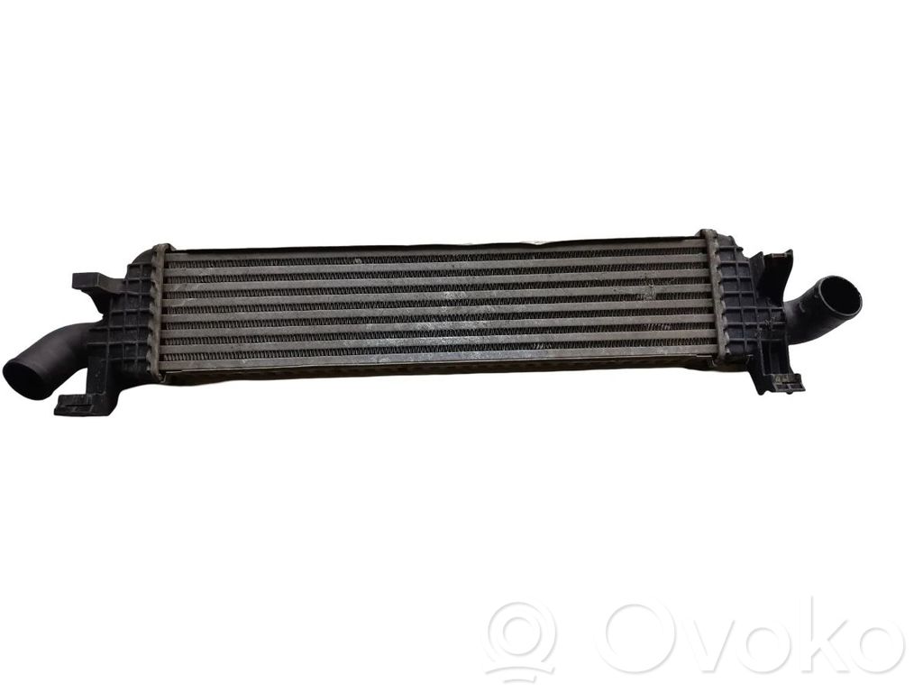 Intercooler radiator   4N5H9L440VF