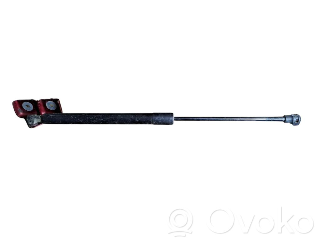 Renault Zoe Tailgate/trunk strut/damper 