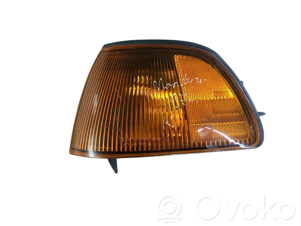 Frontblinker   12087194,21287214
