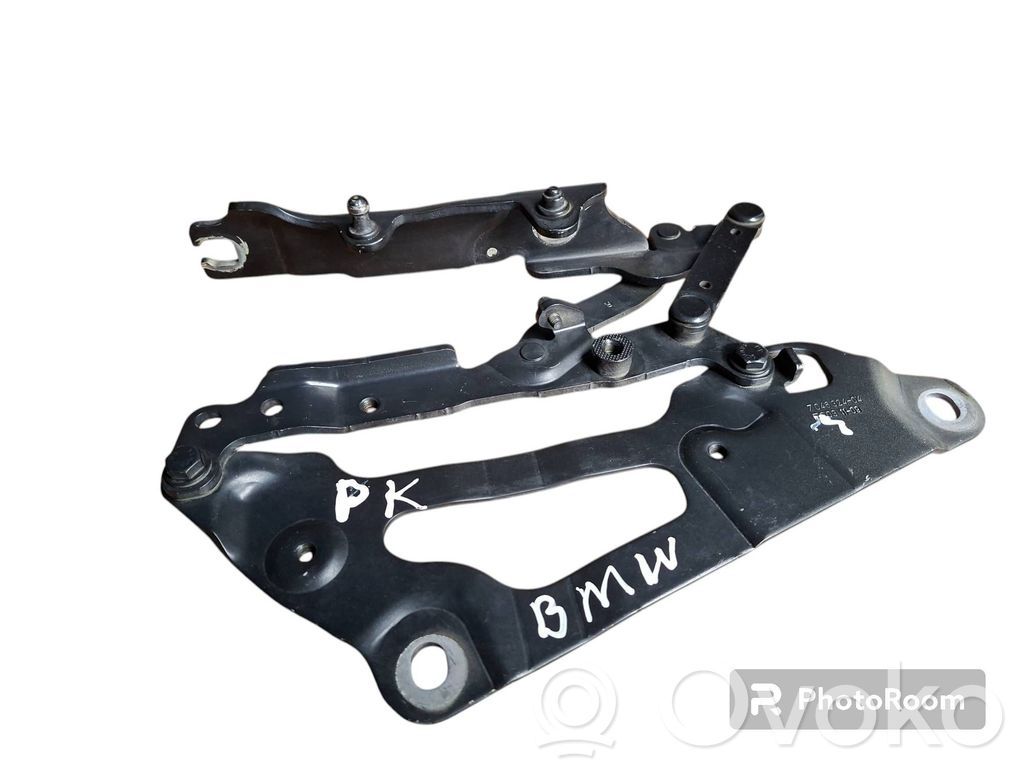 BMW 5 GT F07 Dzinēja pārsega eņģe (-es) 
