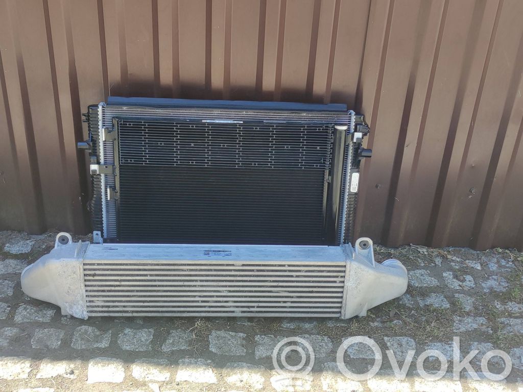 Audi RS3 Aušinimo skysčio radiatorius 