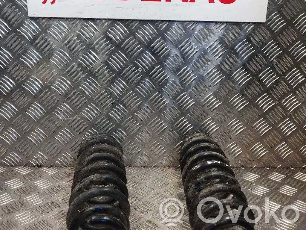 Rear coil spring