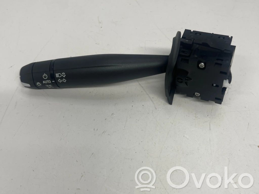 Indicator stalk   13539720