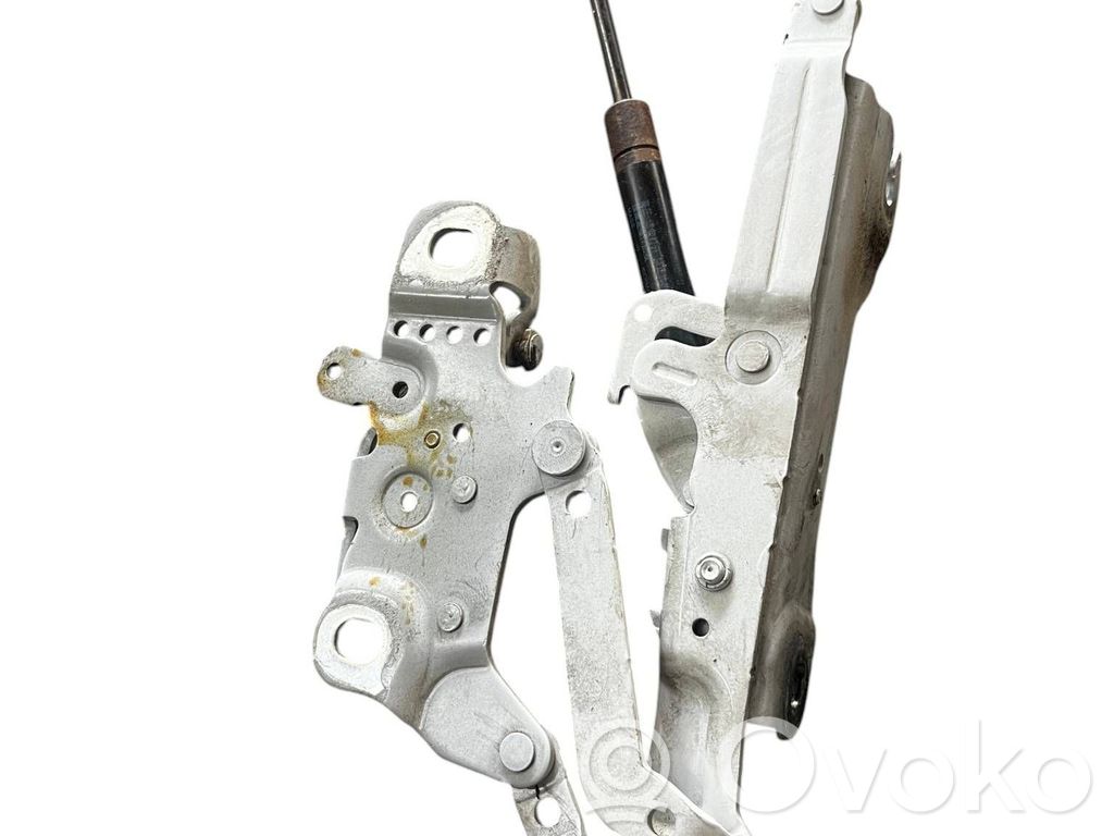BMW 3 GT F34 Cerniere del vano motore/cofano 