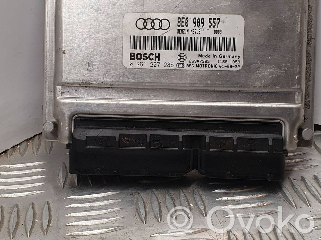 Audi A4 S4 B6 8E 8H Engine control unit/module 
