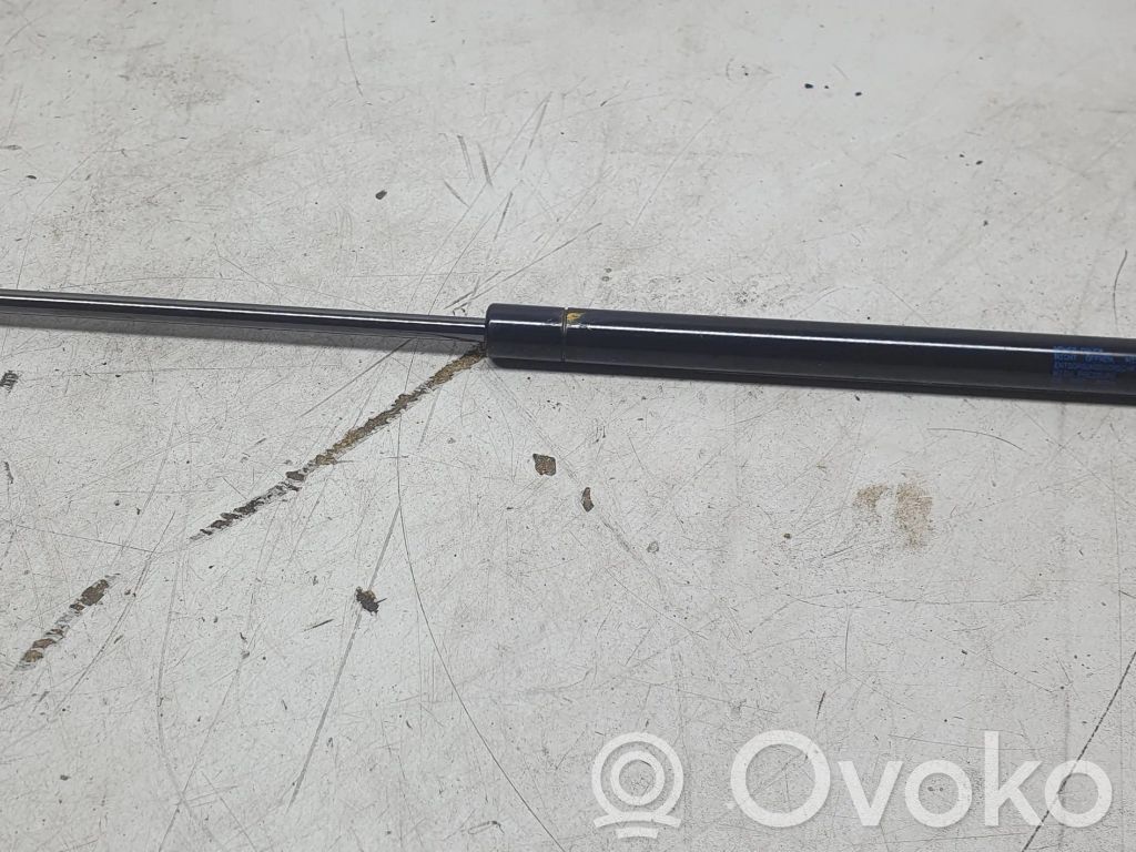 Volkswagen Eos Tailgate/trunk strut/damper 