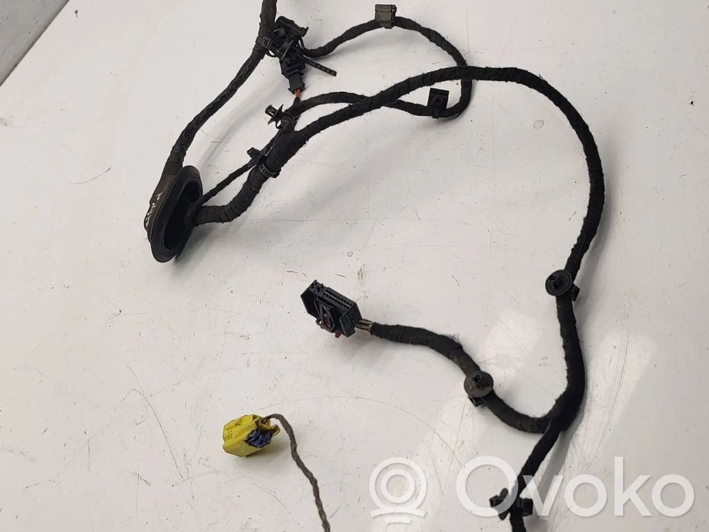 Volkswagen PASSAT B6 Cablaggio porta anteriore 
