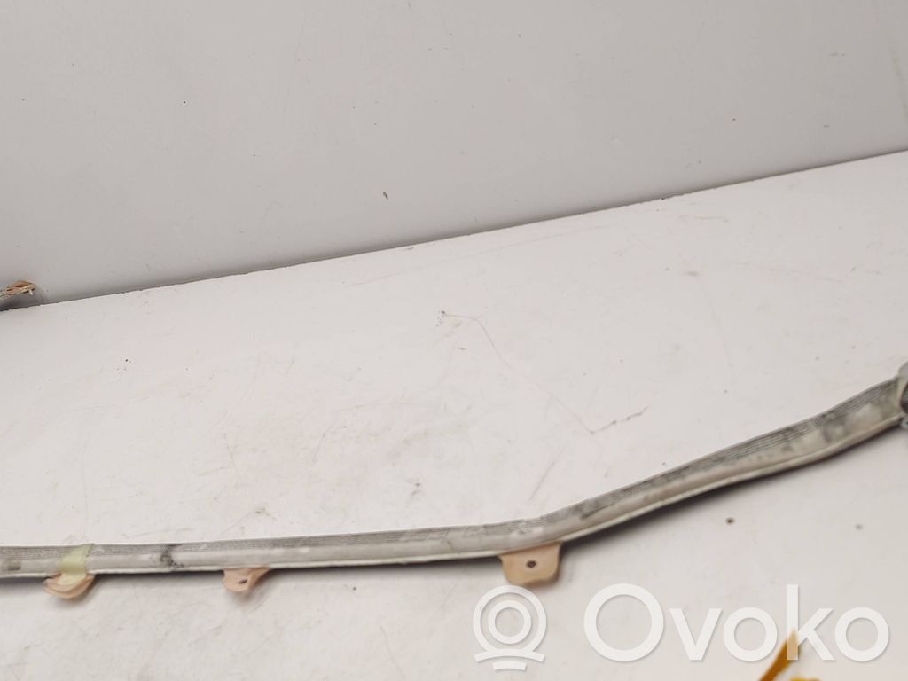 Audi A4 S4 B7 8E 8H Roof airbag 