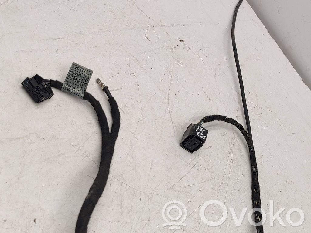 BMW 7 E65 E66 Cableado de puerta delantera 