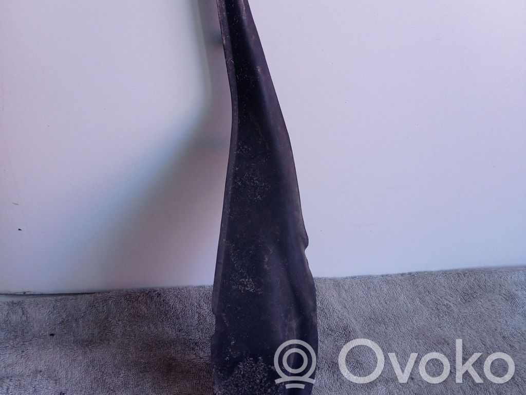 Chrysler Pacifica Wiper trim 