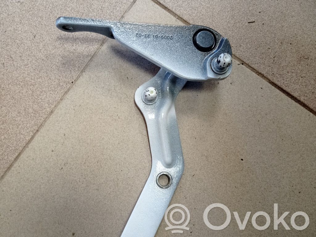 Rear door upper hinge   1037934