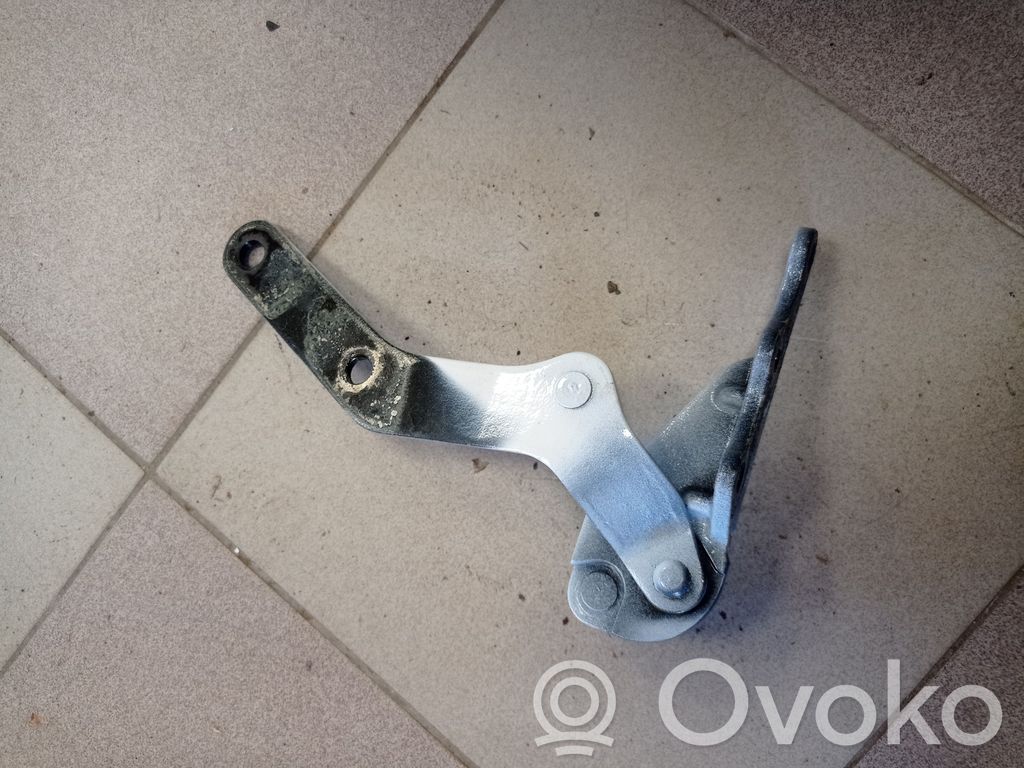 Tesla Model X Rear door hinge set 