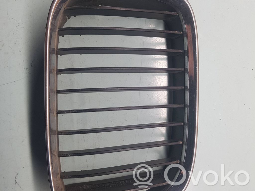Front grill   8159312
