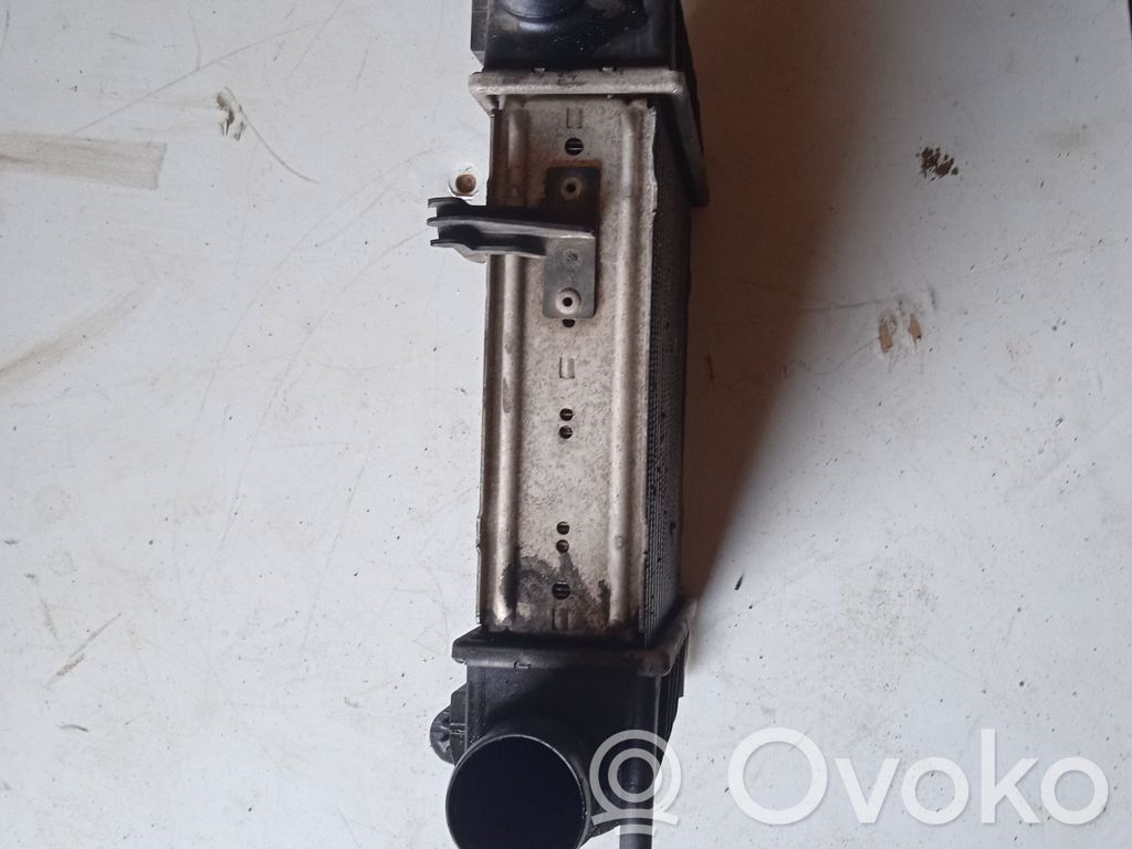 Renault Clio III Intercooler radiator 