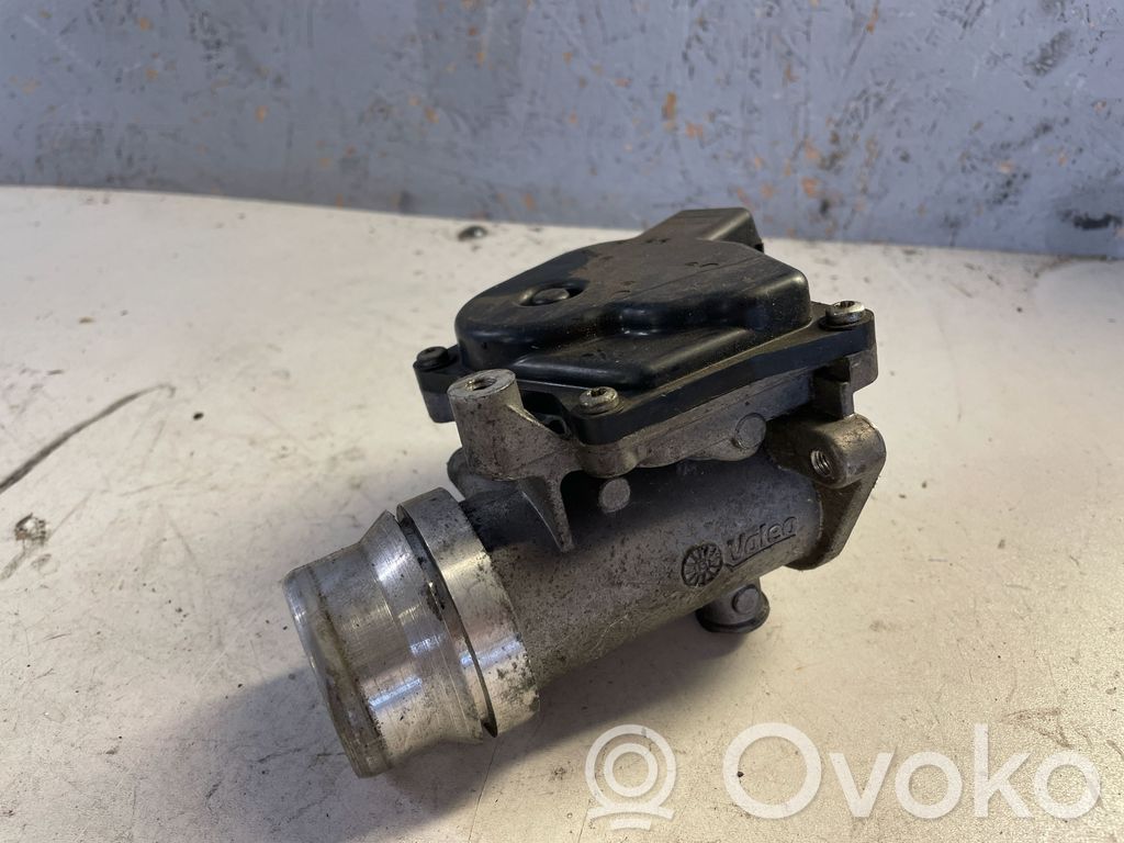 Renault Megane III Throttle valve 