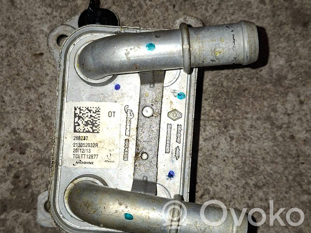 Renault Megane III Supporto di montaggio del filtro dell’olio 