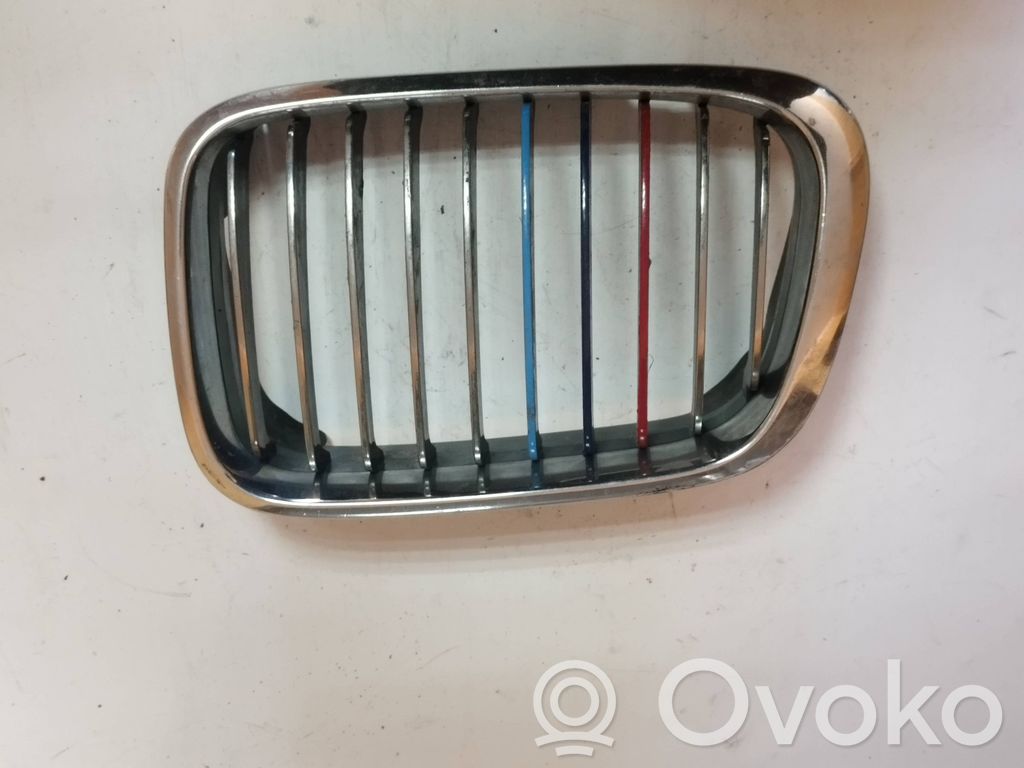 BMW 3 E46 Front grill 