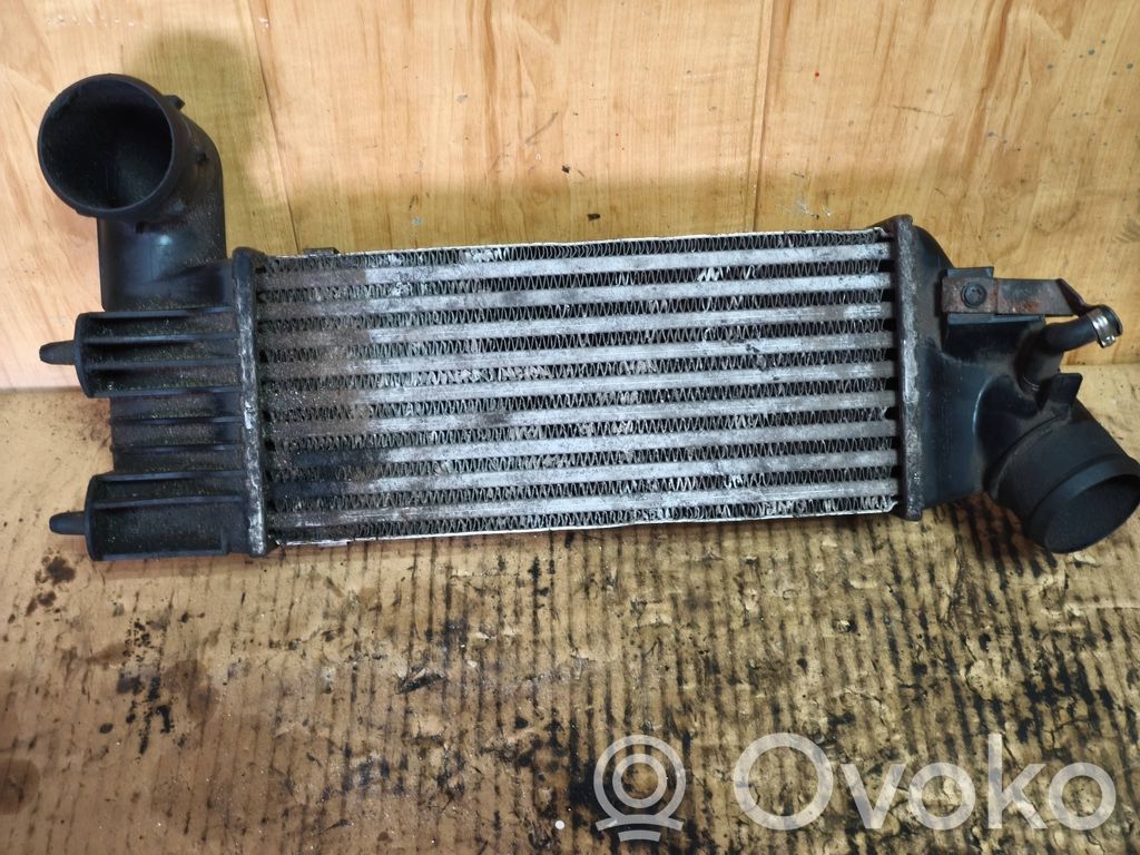 Peugeot 406 Intercooler radiator 