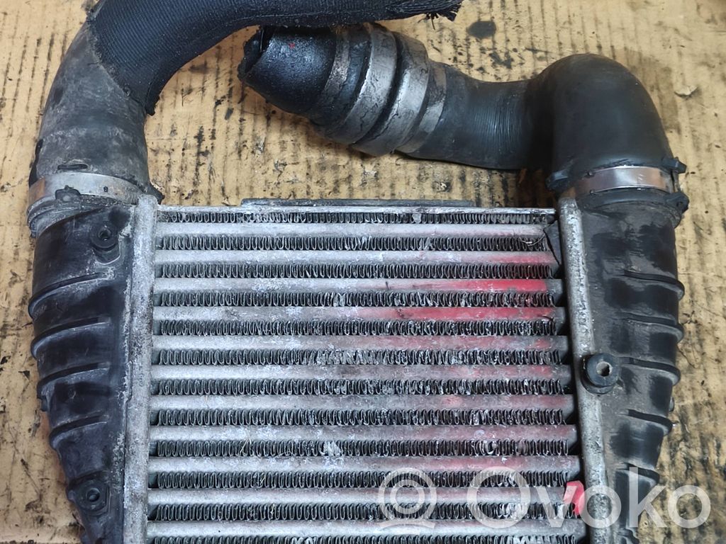 Audi A4 S4 B6 8E 8H Interkūlerio radiatorius 