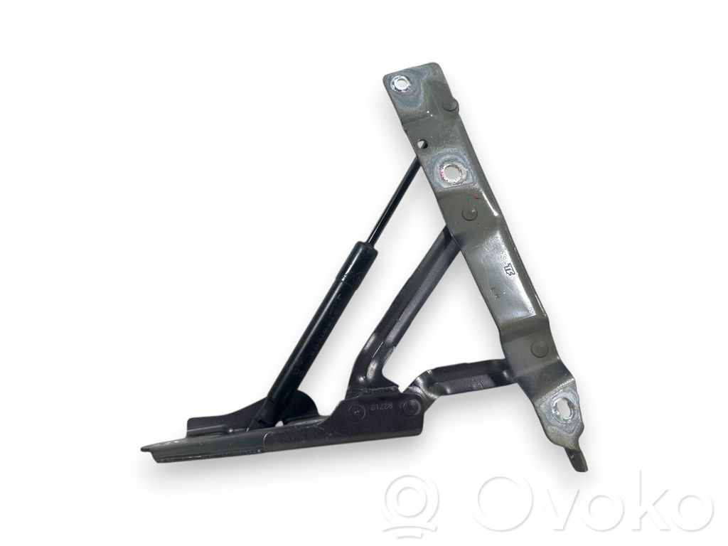 Dodge Challenger Tailgate/trunk/boot hinge 