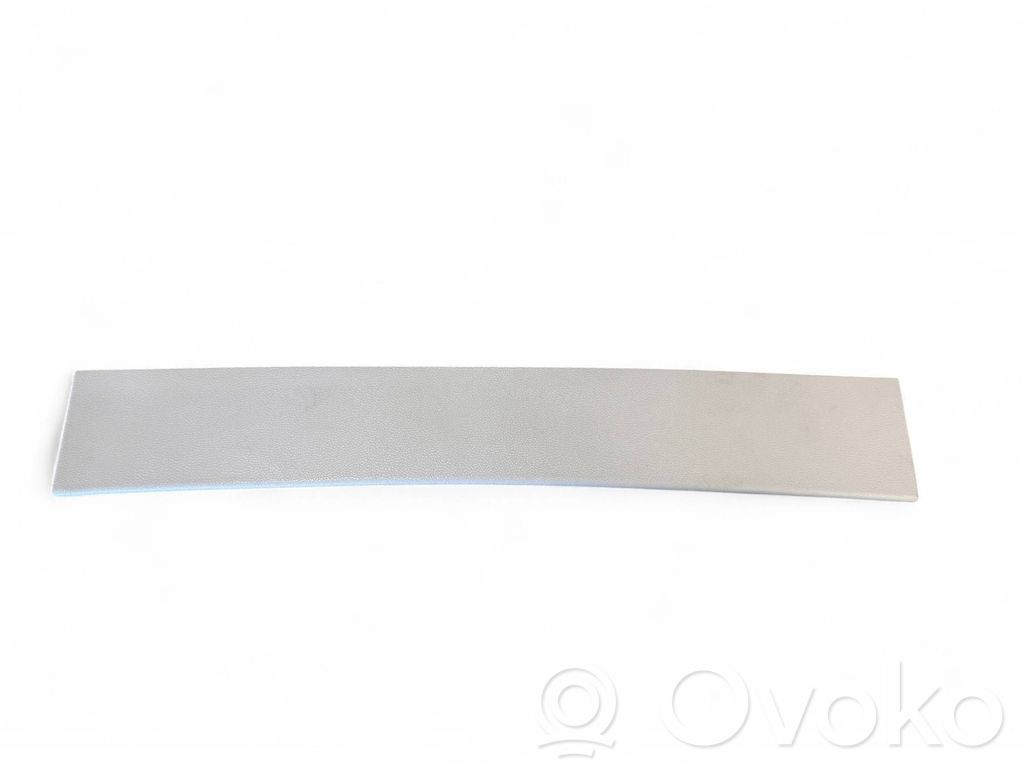 Chrysler Pacifica Tailgate trim 