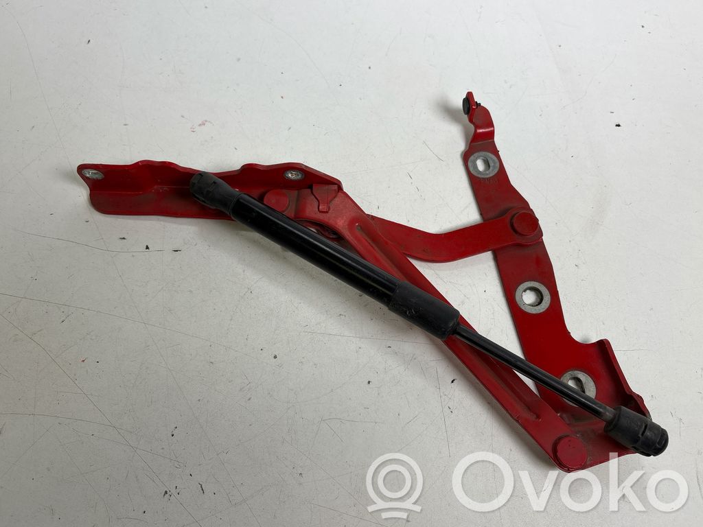Tailgate/trunk/boot hinge   E816K