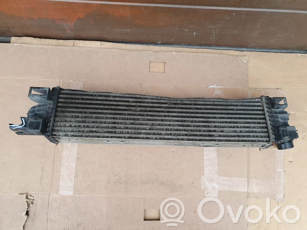 Renault Trafic III (X82) Intercooler radiator 