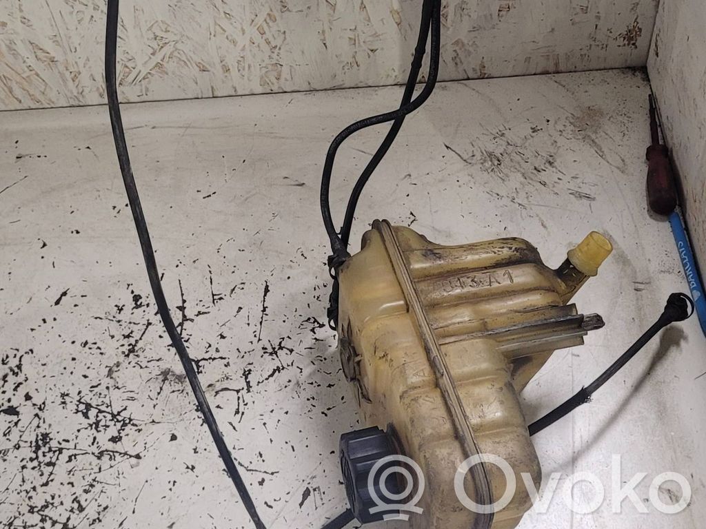 Citroen C5 Aušinimo skysčio išsiplėtimo bakelis 