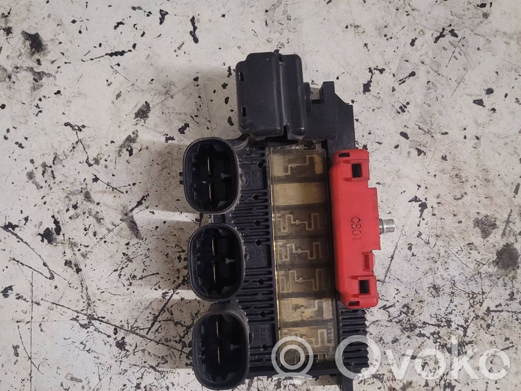 Citroen C6 Positive wiring loom 