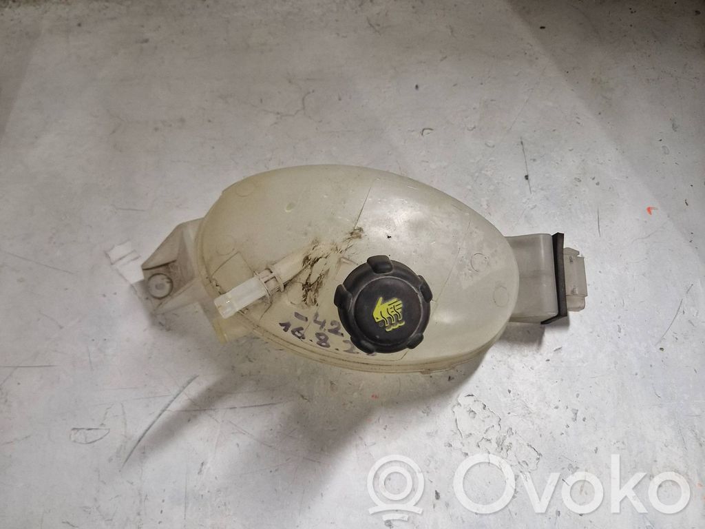 Opel Vivaro Aušinimo skysčio išsiplėtimo bakelis 