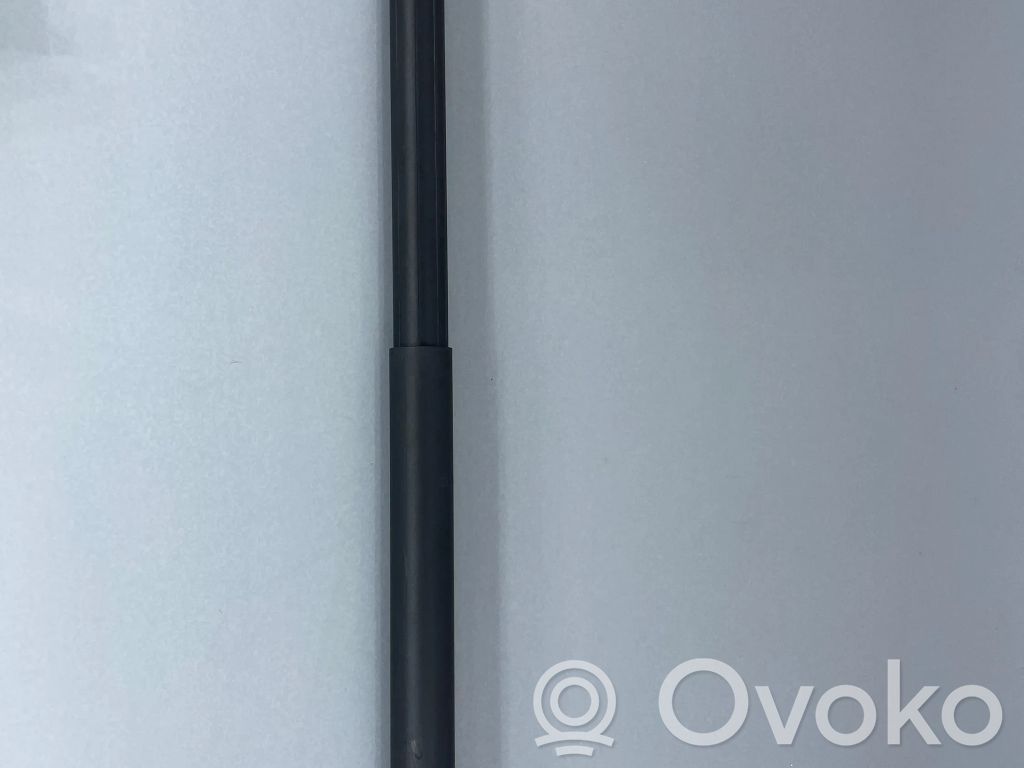 Tesla Model S Tailgate strut 